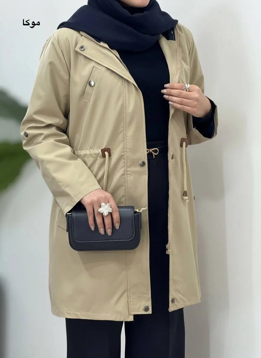 بارونی آستردار کلاهدار لمیس